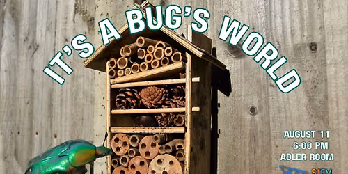 STEM at the Library: It's a Bug's World 