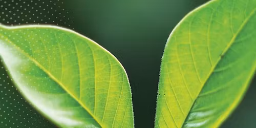 NatureTO: Trees Around the Branch Tour - April 23