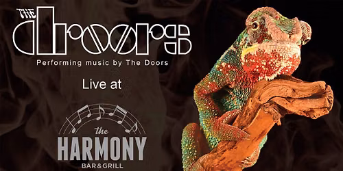 The Droors live at Harmony Bar & Grill in Madison, WI
