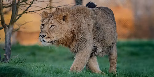 Community Coach Trip to Chester Zoo