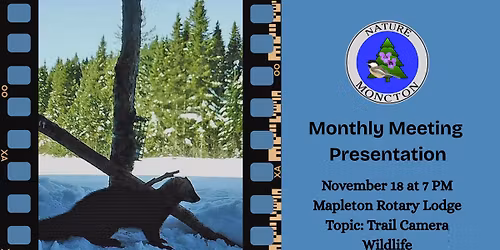 November 18 Monthly Meeting Presentation