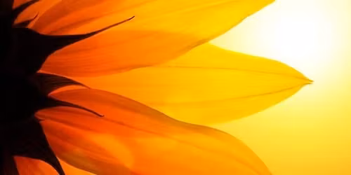 Poziom 1 Treningu Shambhali - Sztuka bycia cz\u0142owiekiem