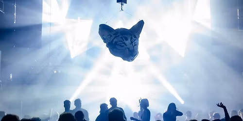 Grauzone festival 2026