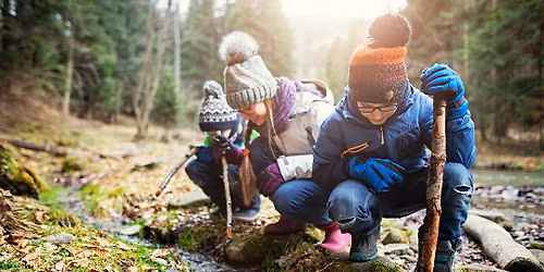 Homeschool: Animals Physical and Behavioral Adaptations to Winter