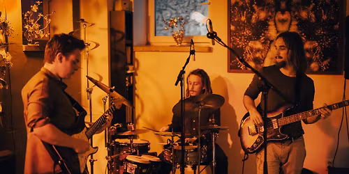 corpo midori \/\/ PONAVA