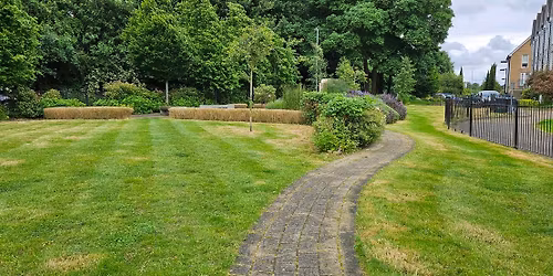 Week 2: Nash Mills War Memorial Tidy Up