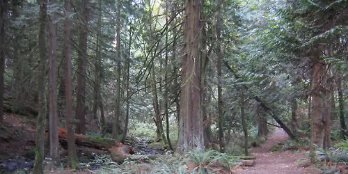 HV Hikers: "Spring Mountain" (difficult)