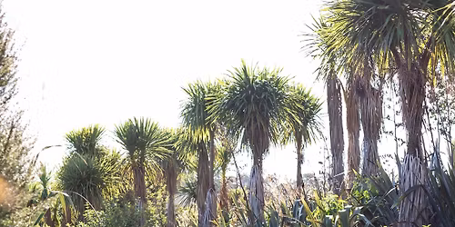 Climate Democracy: using your vote and voice for climate action