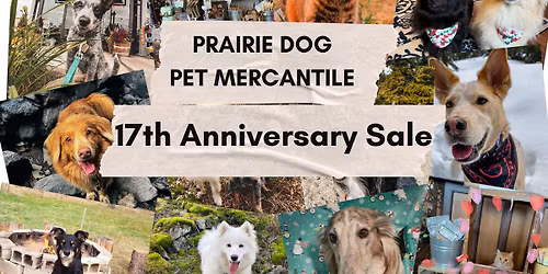 17th Anniversary Sale & Enrichment Toy Filling Station