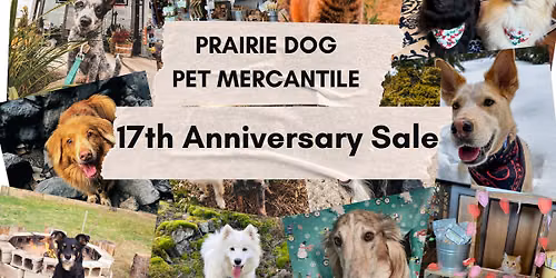 17th Anniversary Sale & Enrichment Toy Filling Station
