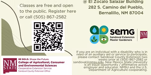 Nature Journaling winter series: Learn to Draw Plants