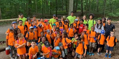 Nature Discovery Week - Summer Camp 