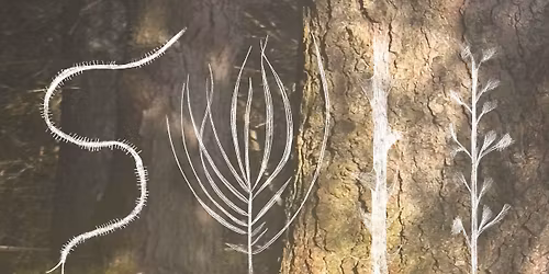 NICA \/\/ OSTER RAVE