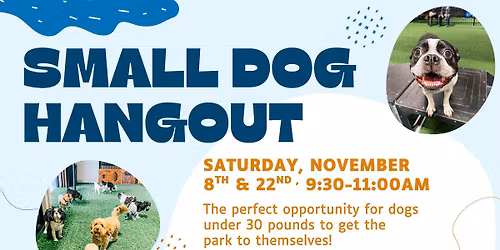 Small Dog Hangout