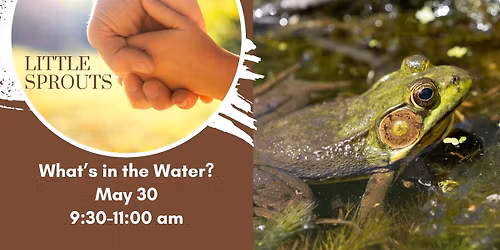 Little Sprouts: What's in the Water?