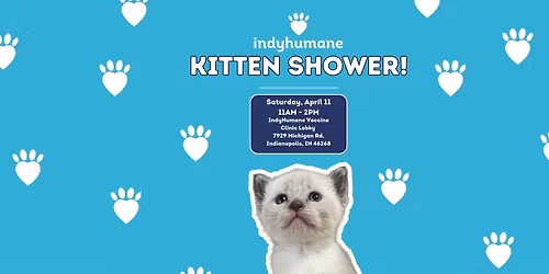 IndyHumane Kitten Shower! \ud83d\udc31\ud83c\udf7c\ud83c\udf38