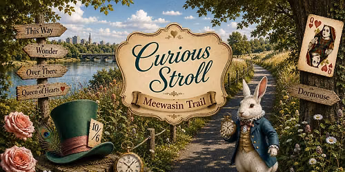 Curious Stroll
