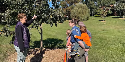 Walk with an Arborist & Your Baby