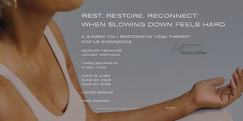 Rest, Restore, Reconnect: 3  Week Yin & Restorative Popup Yoga Experience