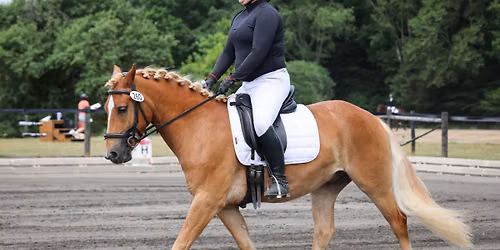 WCNY Sunshine and Horses Open Show Series\/WNYDA Challenge Series Show