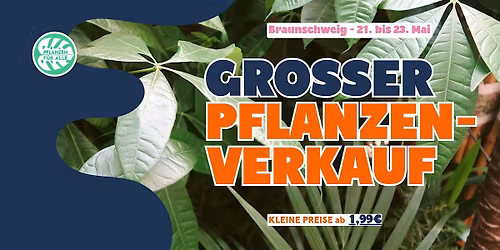 Gro\u00dfer Pflanzenverkauf - Braunschweig