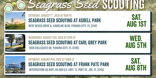 Seagrass Seed Group Scouting