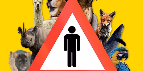 Bestialsk: om mennesket og de andre dyrene | Boklansering