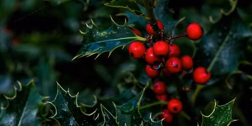 Julegudstjeneste og julehygge 2. juledag i Astrup kirke