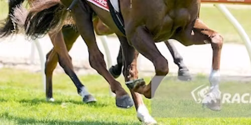 AEL Racing open day!