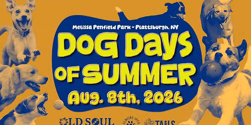 DOG DAYS OF SUMMER