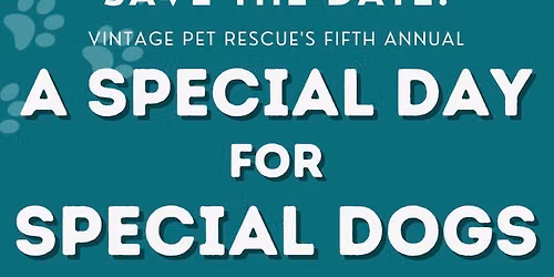 A Special Day for Special Dogs 
