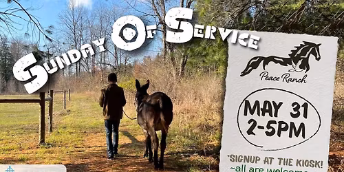 Sunday of Service: Peace Ranch