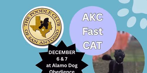 4 AKC FAST CAT