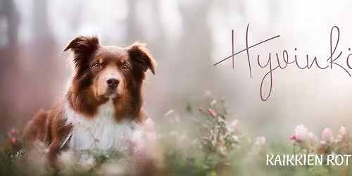 Toukon\u00e4yttely 2026 - Hyvink\u00e4\u00e4 KR 23.5.2026 