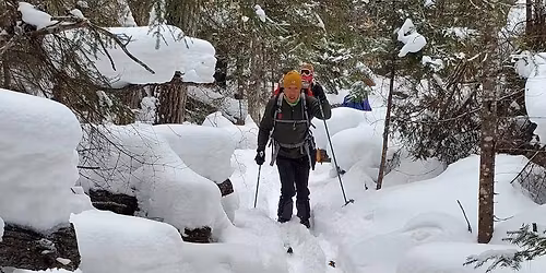 Ski and snowshoe along the Dumoine River