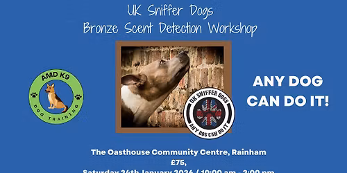 Bronze Scent Detection Workshop