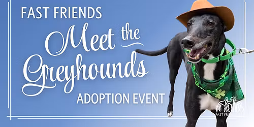 Meet the Greyhounds Adoption Open House