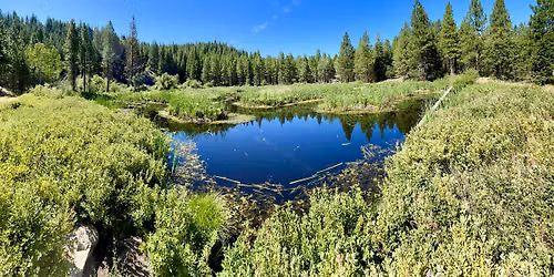 Smartphone Nature Photography Workshop