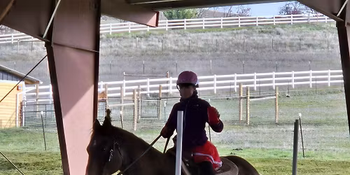 Working equitation clinic & ride a test