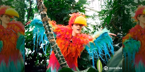 Wielka podr\u00f3\u017c Papugi - czyli z Papug\u0105 za Atlantykiem