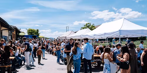 Caves ouvertes 2026 - Music & Chill