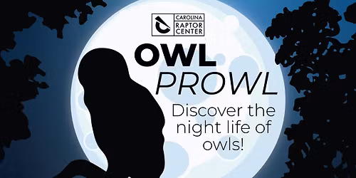 Owl Prowl