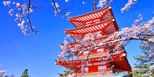 Tokyo Japan.     (CO-ED 2026)