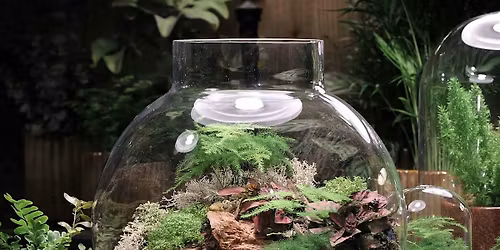 Terrarium Workshop