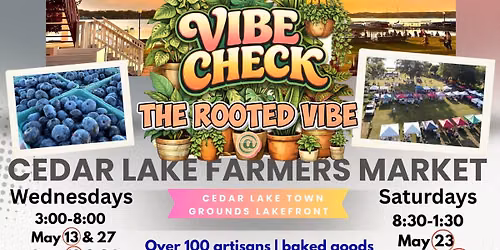 The Rooted Vibe @ Cedar Lake Market