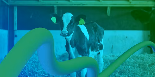 VIII Konferencja \u201eCzas na wsp\u00f3\u0142prac\u0119\u201d