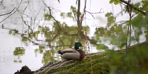 Talk by Leonardo Vazquez, AICP\/PP, Executive Director, Northern New Jersey Community Foundation