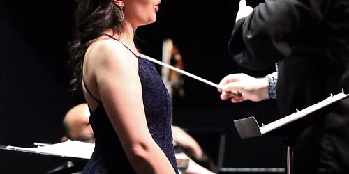 Henderson Symphony Orchestra 2026-2027 Season Opening!