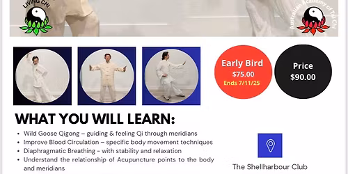 Wild Goose - Tai Chi Workshop Shellharbour 