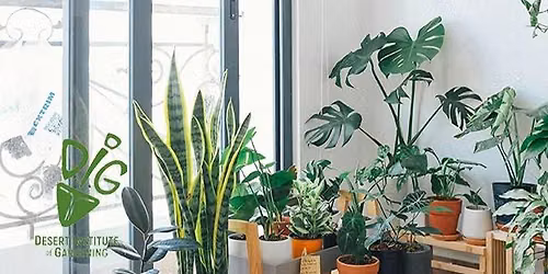 DIG IN-PERSON- Ready, Set, Grow. Get the Dirt on House Plants!